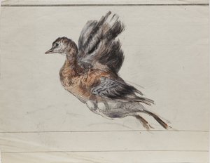 Dibujo de Louis Marie Faudacq